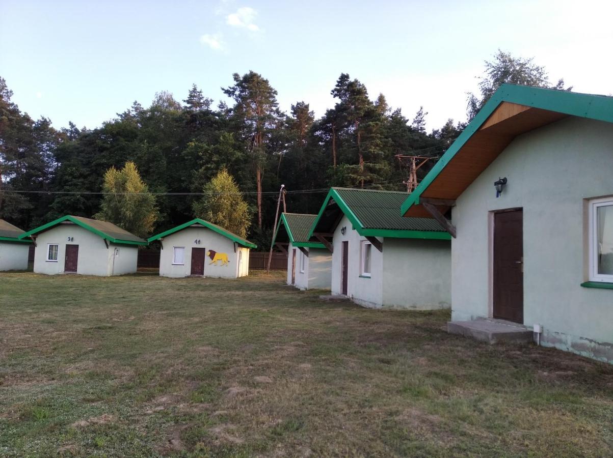 Domki Pod Lasem Plonsk Exterior photo