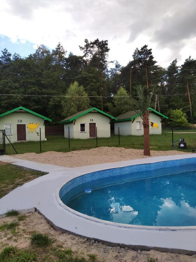 Domki Pod Lasem Plonsk Exterior photo