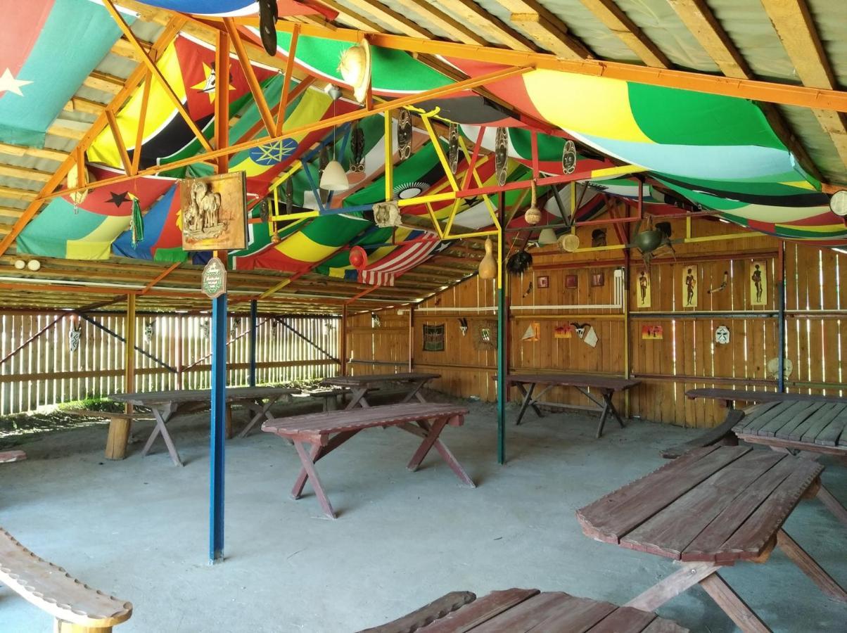 Domki Pod Lasem Plonsk Exterior photo